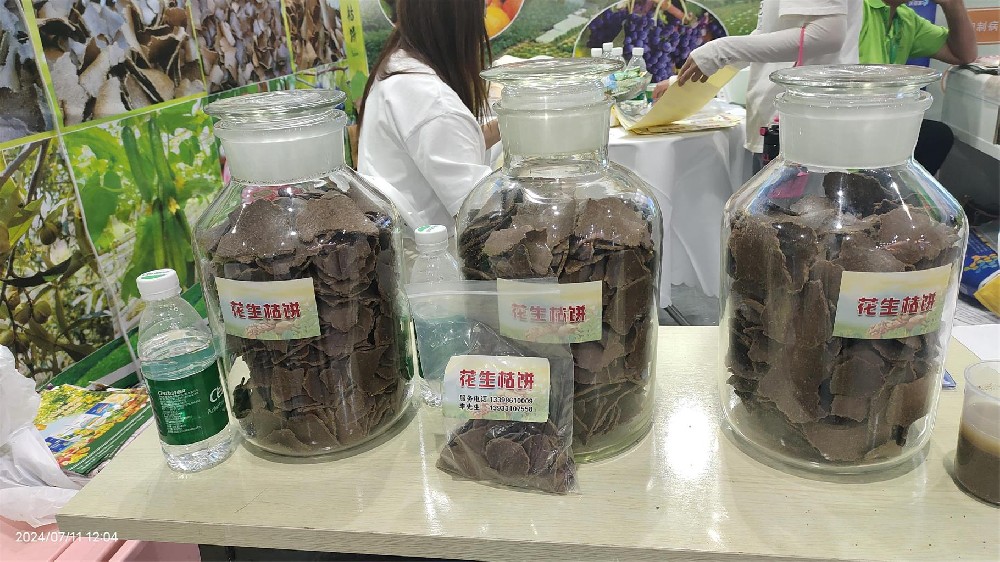 用花生枯液肥淋施果树居然烧根？到底是哪里出现了问题？