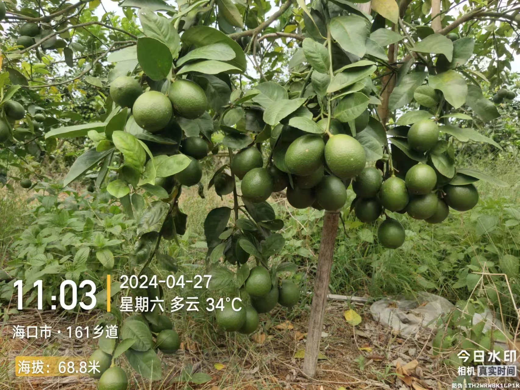 2d24ed64695d919e031d0ce49e927a2.jpg