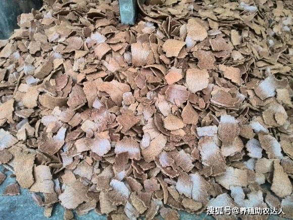 给花生饼油枯处理做成有机肥技术
